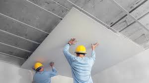 Gypsum Board